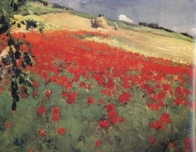 William blair bruce Landscape with Poppies (nn02) Sweden oil painting art
